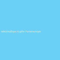 Mittelm&auml;&szlig;iges Kupfer-Portemonnaie