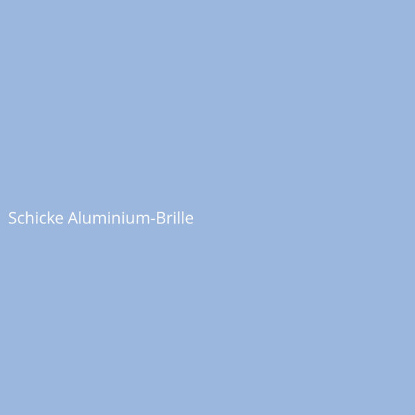 Schicke Aluminium-Brille