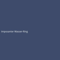 Imposanter Wasser-Ring